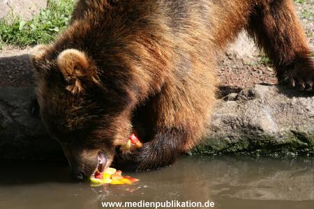 Hagenbeck 15072010 007