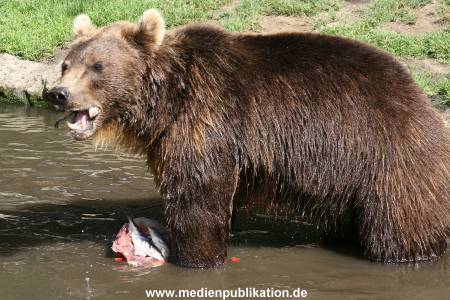 Hagenbeck 15072010 009