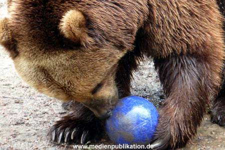 Hagenbeck 17062013 007