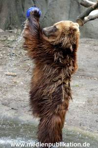 Hagenbeck 17062013 008