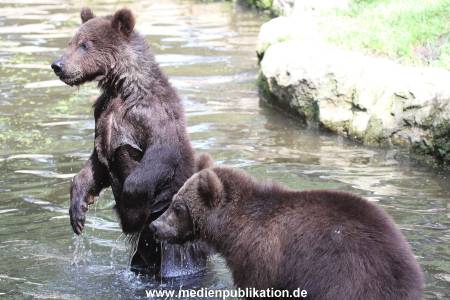 Hagenbeck 23072014 025