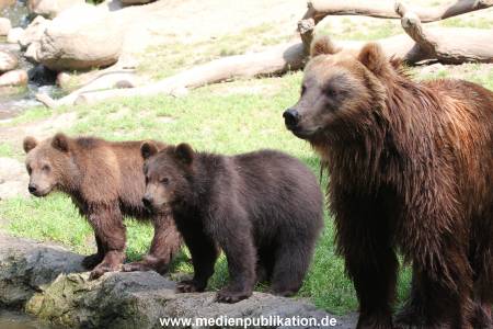 Hagenbeck 23072014 026
