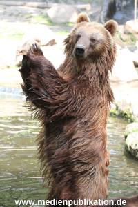 Hagenbeck 23072014 028