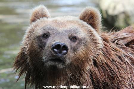Hagenbeck 23072014 029