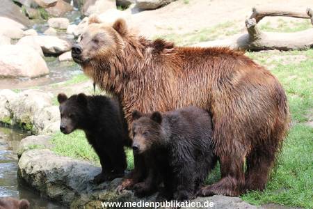 Hagenbeck 23072014 030