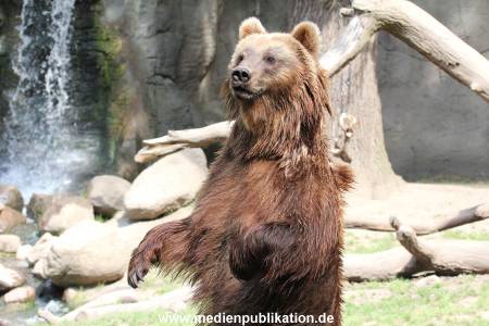 Hagenbeck 23072014 031
