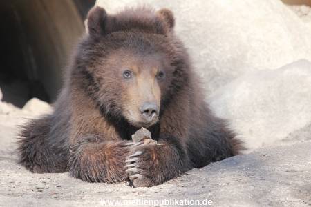 Hagenbeck 24032015 019