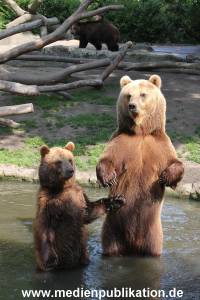 Hagenbeck 24052012 009