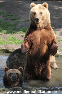 Hagenbeck 24052012 011