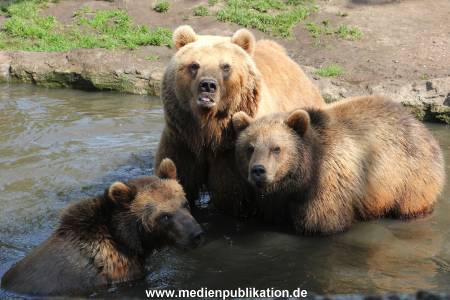 Hagenbeck 24052012 012