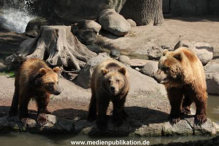 Hagenbeck 24052012 013