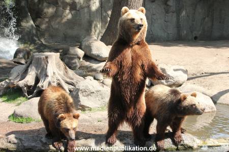 Hagenbeck 24052012 015