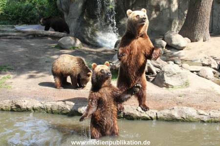 Hagenbeck 24052012 016