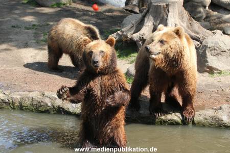 Hagenbeck 24052012 018