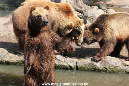 Hagenbeck 24052012 019