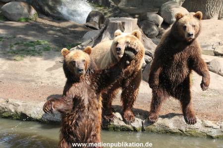 Hagenbeck 24052012 020