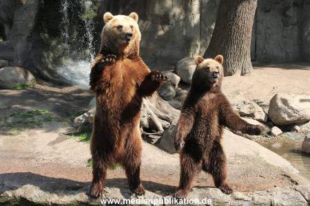 Hagenbeck 24052012 022