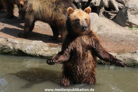 Hagenbeck 24052012 023