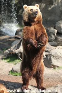 Hagenbeck 24052012 024