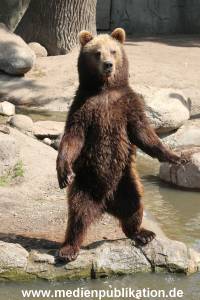 Hagenbeck 24052012 025