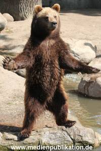 Hagenbeck 24052012 026