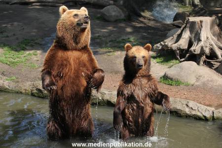 Hagenbeck 24052012 027