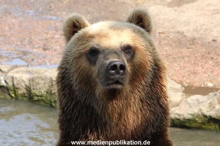 Hagenbeck 24052012 030