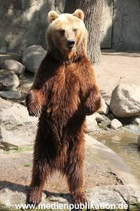 Hagenbeck 24052012 031