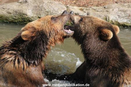 Hagenbeck 24052012 032