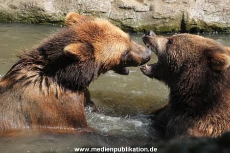 Hagenbeck 24052012 033