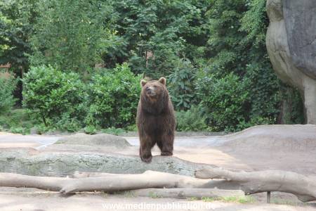 Hagenbeck 25072013 068