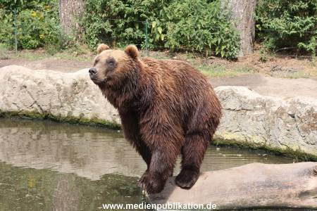 Hagenbeck 25072013 069