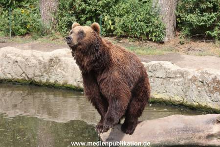 Hagenbeck 25072013 071