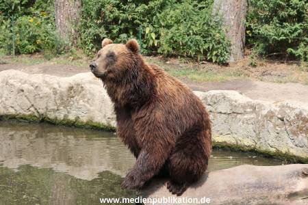 Hagenbeck 25072013 073