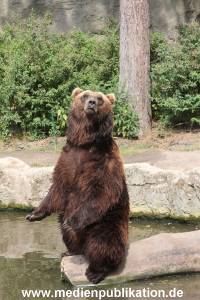 Hagenbeck 25072013 074