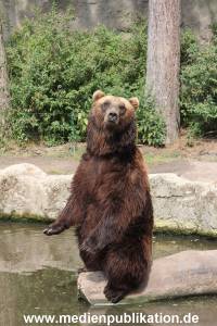Hagenbeck 25072013 075