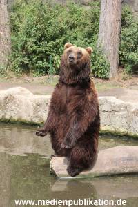 Hagenbeck 25072013 078