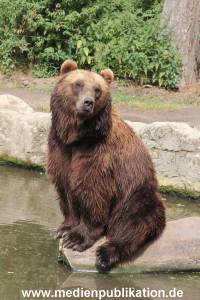 Hagenbeck 25072013 079