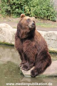 Hagenbeck 25072013 081