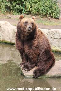 Hagenbeck 25072013 083