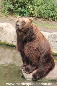 Hagenbeck 25072013 084