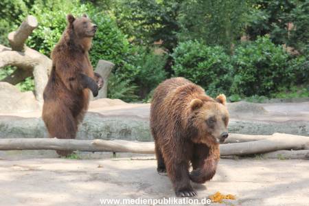 Hagenbeck 25072013 085