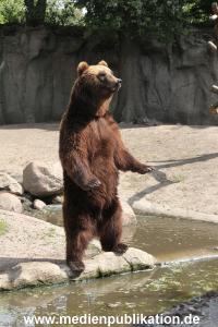 Hagenbeck 25072013 086