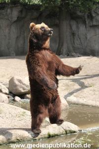 Hagenbeck 25072013 088