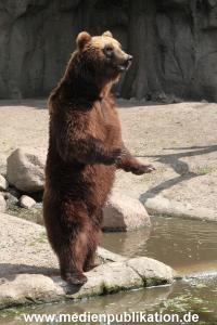 Hagenbeck 25072013 089