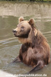 Hagenbeck 25072013 091