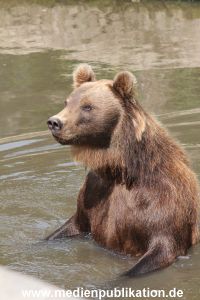 Hagenbeck 25072013 092