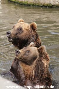 Hagenbeck 25072013 093