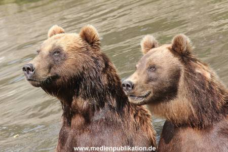 Hagenbeck 25072013 096