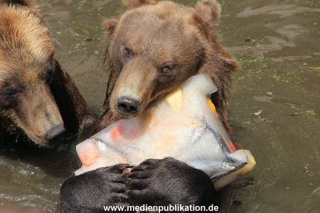 Hagenbeck 25072013 098